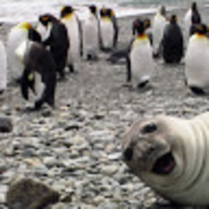 Meet your Posher, N.